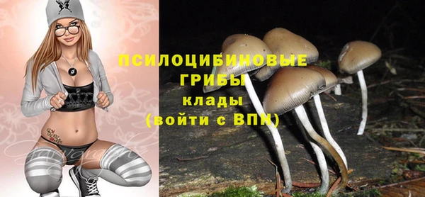 каннабис Горно-Алтайск