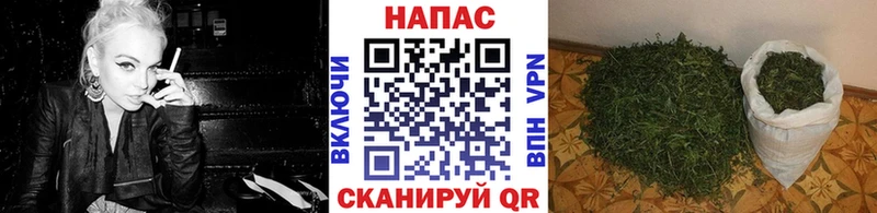 Купить  Знаменск  Конопля SATIVA & INDICA 